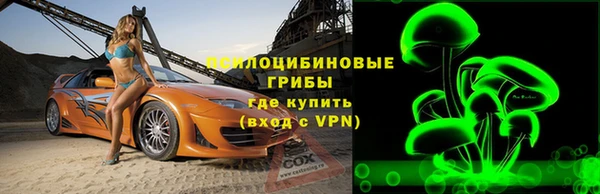 дживик Аркадак