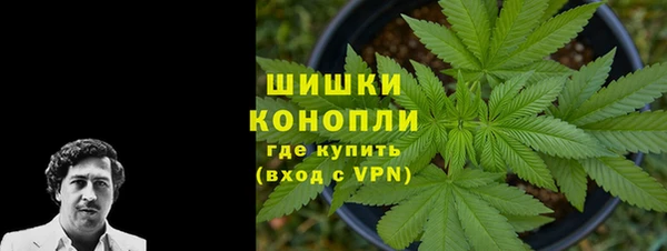 дживик Аркадак