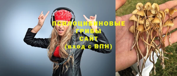 дживик Аркадак