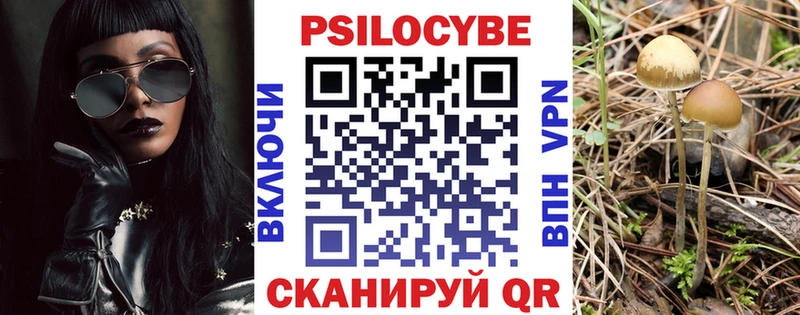 Галлюциногенные грибы ЛСД  где купить наркотик  Весьегонск 